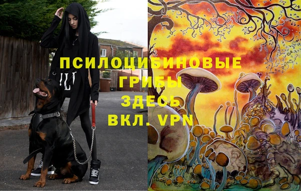кристаллы Абаза