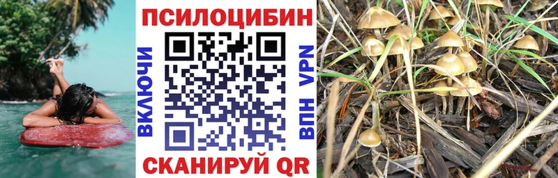 Галлюциногенные грибы Cubensis  Абаза 